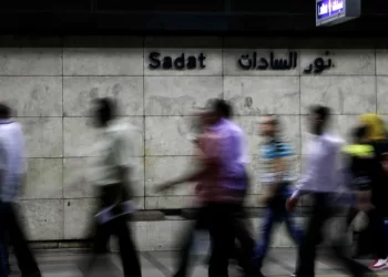 مسودة وثيقة تكشف عن سياسة ملكية الدولة في مصر