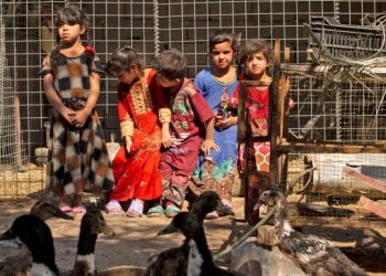 العراق يبدأ بإجراء مسح اجتماعي شامل لتحديد نسبة الفقر