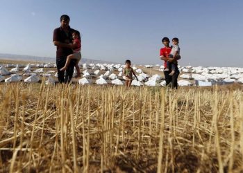 العراق يقترب من إقرار قانون ” الأمن الغذائي” تعرف إلى صيغته