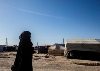 الرياض وواشنطن تحضّان الدول الغربية على استعادة رعاياها الجهاديين وعائلاتهم من سوريا والعراق