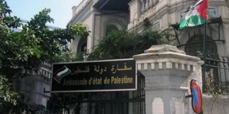 مصر: إعفاء الطلبة الفلسطينيين من نصف الرسوم الجامعية