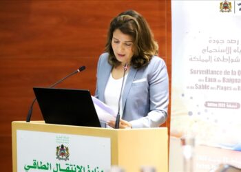 المغرب: سنضاعف استثمارات الطاقة المتجددة 3 مرات