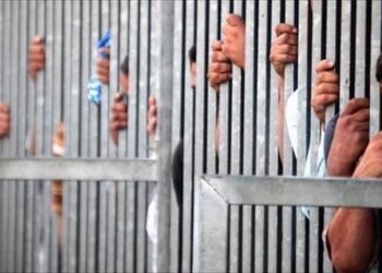 مصر : إنشاء 6 سجون جديدة في مدينة 15 مايو