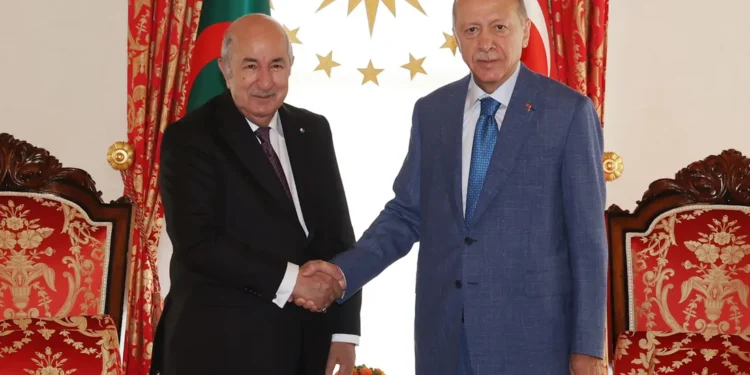 الجزائر وتركيا .. رغبة مشتركة لتعظيم التجارة البينية