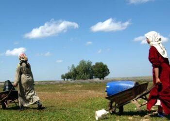 المغرب يقترض من البنك الدولي 350 مليون دولار لمواجهة شح المياه