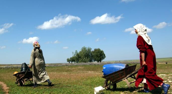 المغرب يقترض من البنك الدولي 350 مليون دولار لمواجهة شح المياه