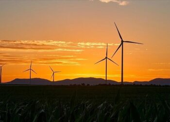 الجزائر: ظروف مناخية “قاسية” والحرارة تصل إلى 48 درجة