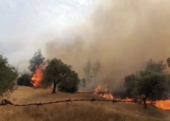 المشكلات المناخية وسلوكيات المواطنين الخاطئة أهم أسباب اندلاع الحرائق