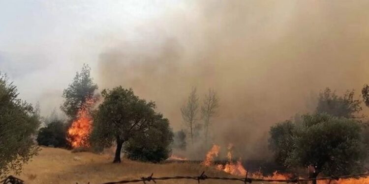 المشكلات المناخية وسلوكيات المواطنين الخاطئة أهم أسباب اندلاع الحرائق